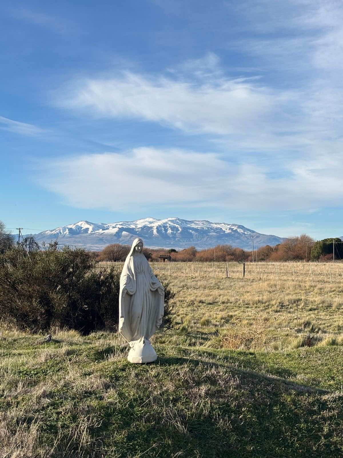 Imagen de la Virgen en el campo, con la cordillera nevada de fondo
